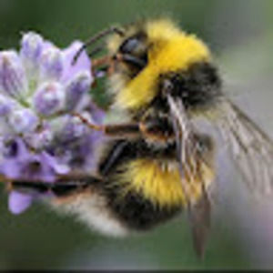 Meet your Posher, Fiona